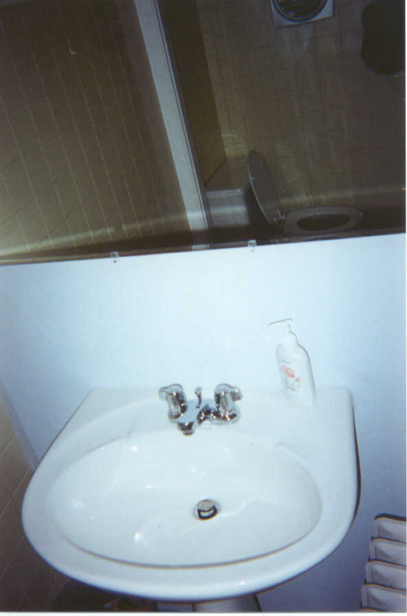Half Bath Mirror Shot.jpg (32087 bytes)