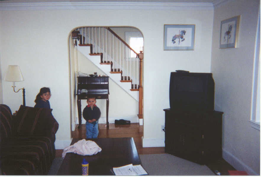 LR from Fireplace.jpg (40988 bytes)