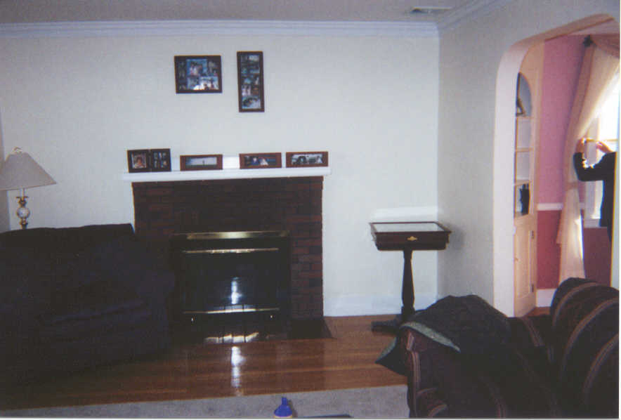 LR from Hallway.jpg (38522 bytes)