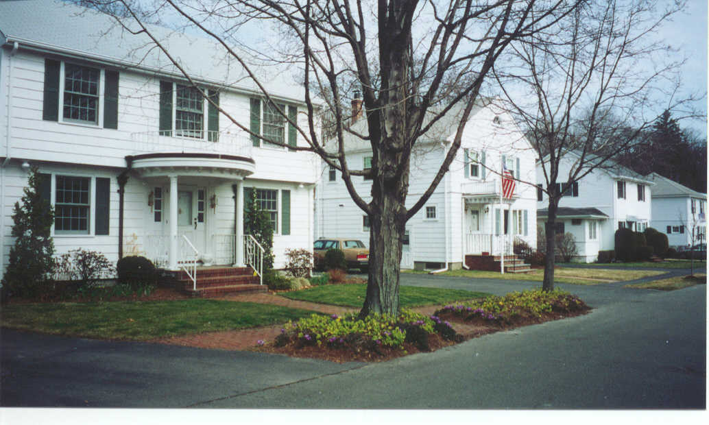 Across the Street Neighbors.jpg (94163 bytes)