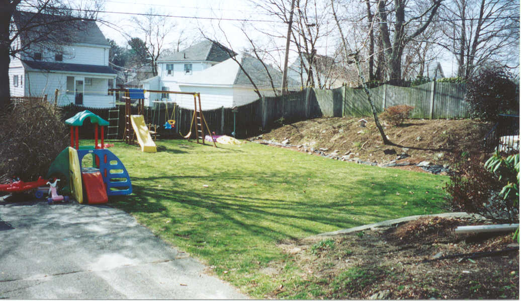 Backyard from Driveway.jpg (113247 bytes)