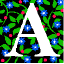 flower a.gif (3354 bytes)