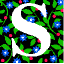 flower s.gif (3275 bytes)